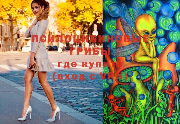 сатива Навашино